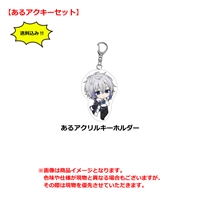 あるアクキー単品