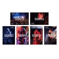 11/23 SENDAI GIGS公演セット