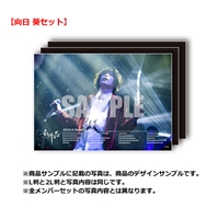 5/6 EX THEATER ROPPONGI公演【向日 葵セット】L判