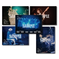 4/18 東京：EX THEATER ROPPONGI公演 2L判