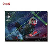 1/6 A3判 日本武道館公演【reiki】