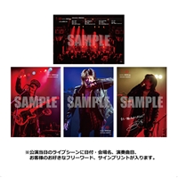 【SHINファンクラブ[echoes]会員限定版】L判 1/18 SHIBUYA PLEASURE PLEASURE公演