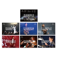 6/14 東京ドーム公演セット