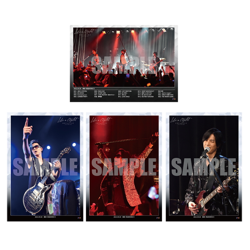 【TEAM BREAKERZ会員限定セット】L判 9/16 渋谷ストリームホール 14:30公演
