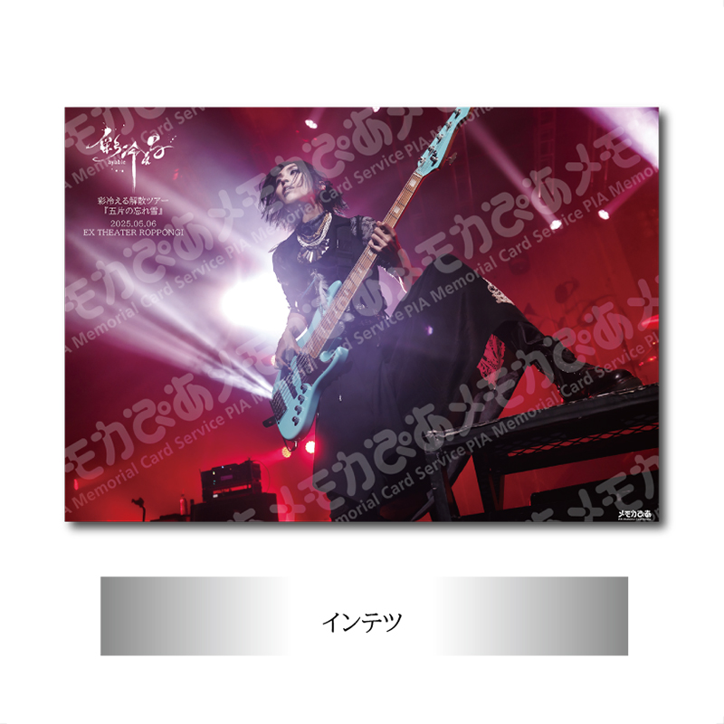 【インテツ】5/6 EX THEATER ROPPONGI公演 A3判