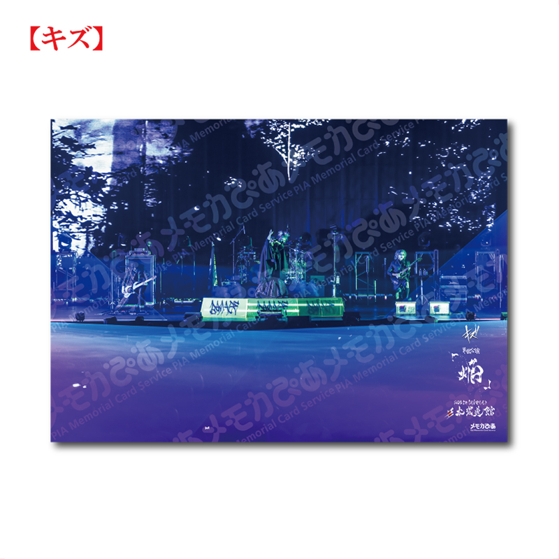 1/6 A3判 日本武道館公演【キズ】